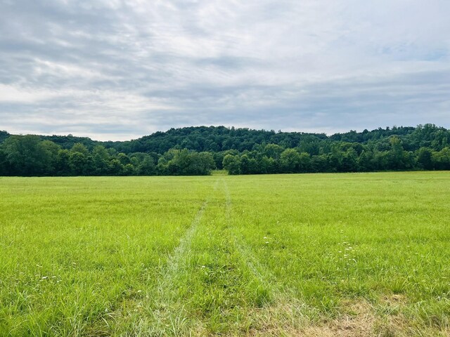 Listing photo 3 for 0 W Blue Creek Rd, Waverly TN 37185