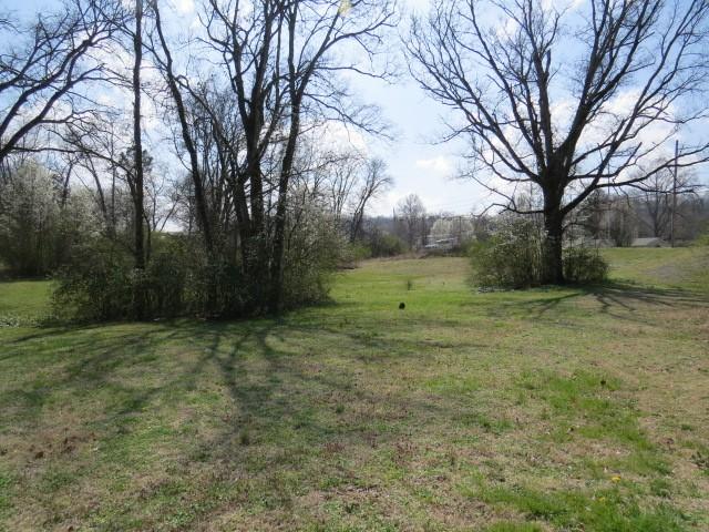 1401 Mill St, Pulaski, TN 38478