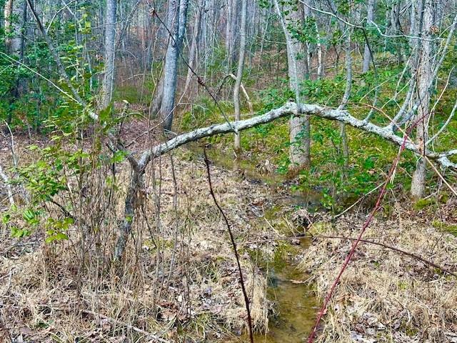 144 Gunter Place Rd, Sunbright, TN 37872