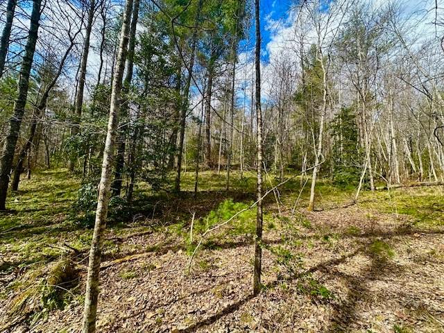 144 Gunter Place Rd, Sunbright, TN 37872