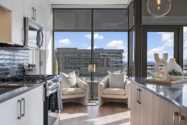 kitchen with white cabinets, stainless steel appliances, a wall of windows, and wood finished floors