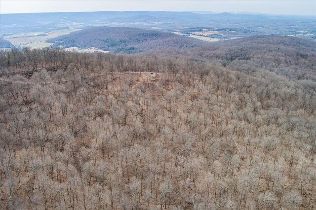 0 Fire Tower Rd, Sparta, TN 38583 - photo 8