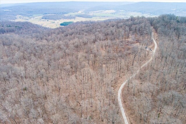 0 Fire Tower Rd, Sparta, TN 38583 - photo 9