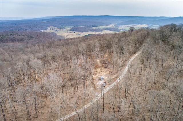 0 Fire Tower Rd, Sparta, TN 38583 - photo 7