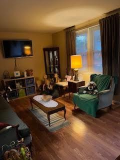 living room with wood finished floors
