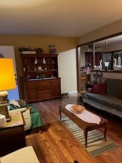 living area featuring wood finished floors