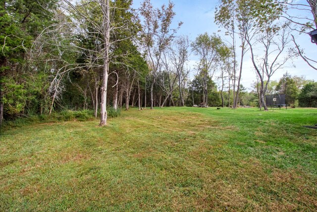 1289 Southside Rd, Southside, TN 37171 - view of yard featuring a trampoline
