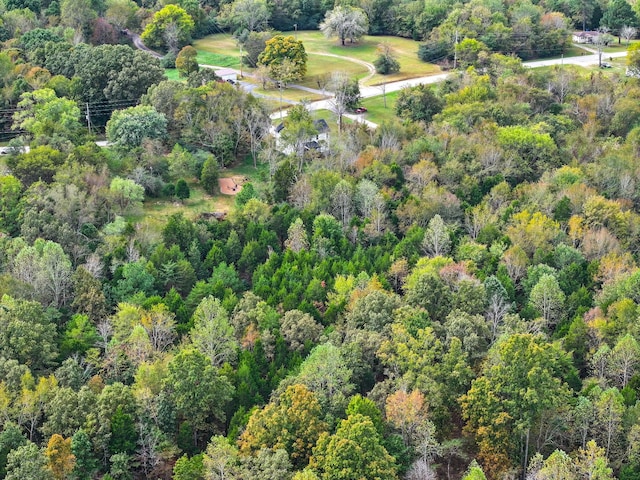 1289 Southside Rd, Southside, TN 37171 - bird's eye view with a wooded view