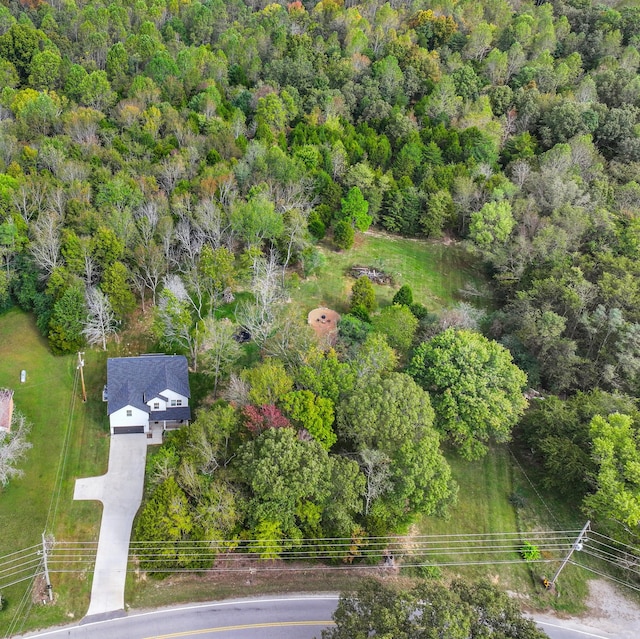1289 Southside Rd, Southside, TN 37171 - bird's eye view featuring a view of trees