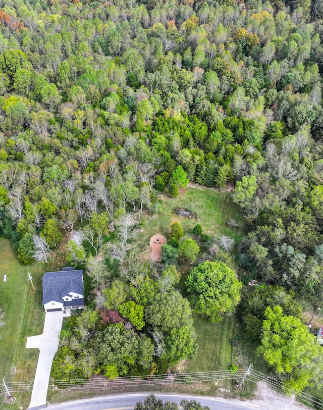 1289 Southside Rd, Southside, TN 37171 - drone / aerial view with a view of trees