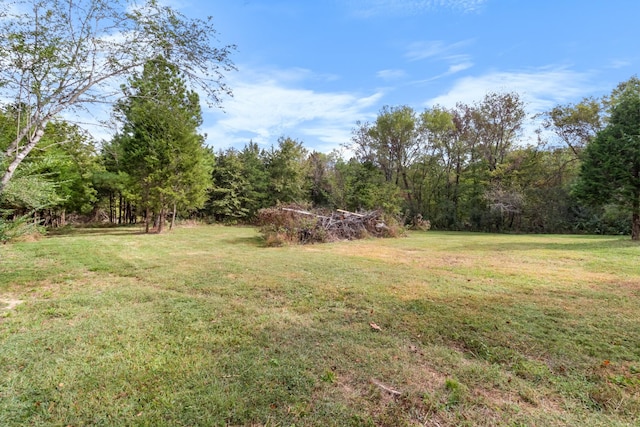 1289 Southside Rd, Southside, TN 37171 - view of yard with a forest view