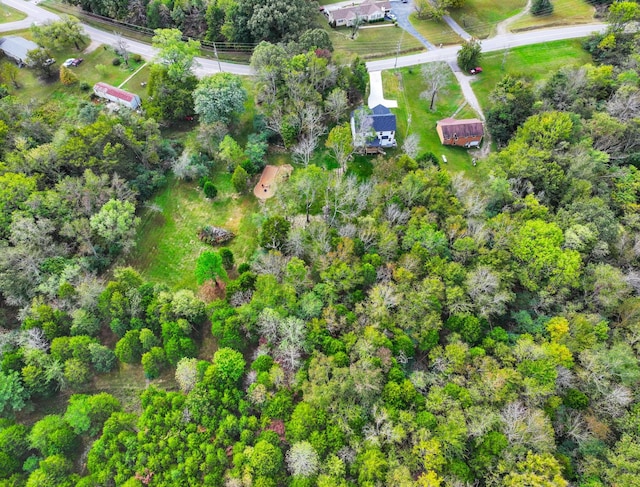1289 Southside Rd, Southside, TN 37171 - aerial view