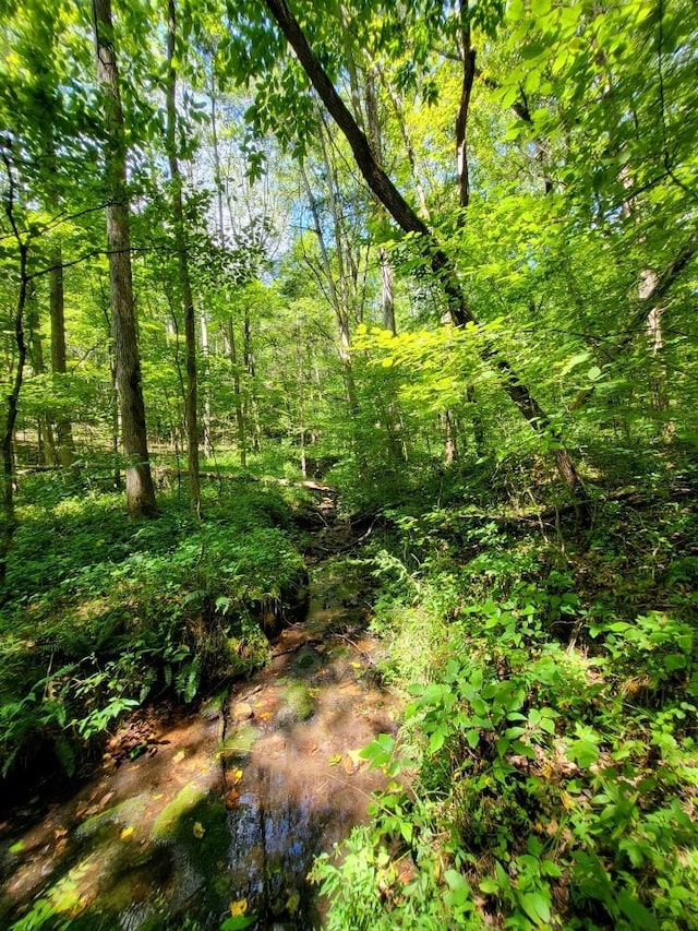 6704 Rockhouse Rd, Linden, TN 37096
