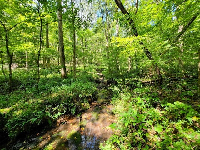 6704 Rockhouse Rd, Linden, TN 37096