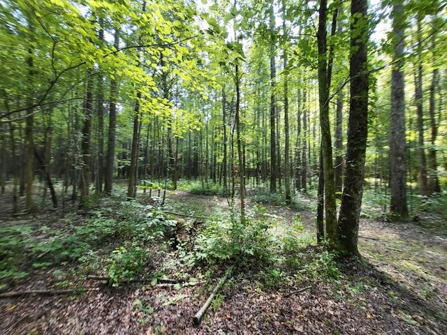 6704 Rockhouse Rd, Linden, TN 37096