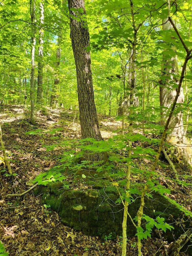 6704 Rockhouse Rd, Linden, TN 37096
