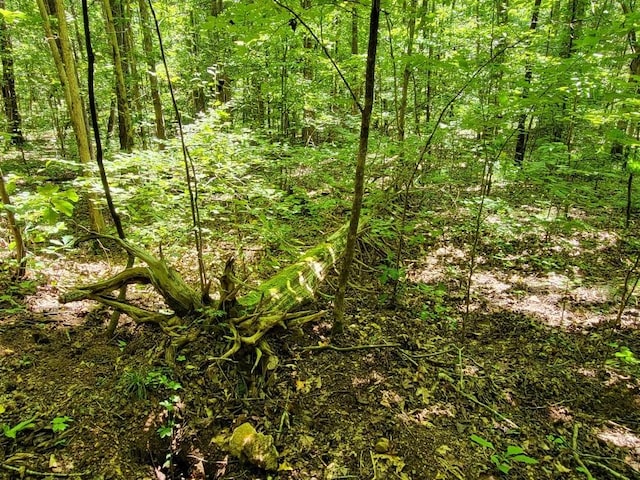 6704 Rockhouse Rd, Linden, TN 37096