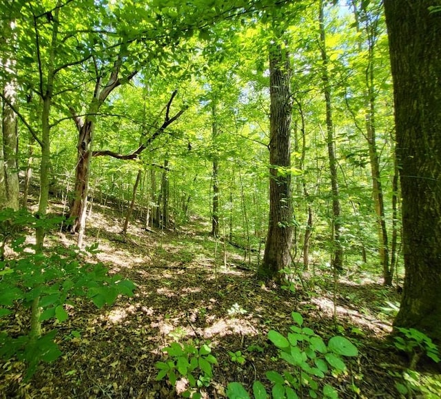 6704 Rockhouse Rd, Linden, TN 37096
