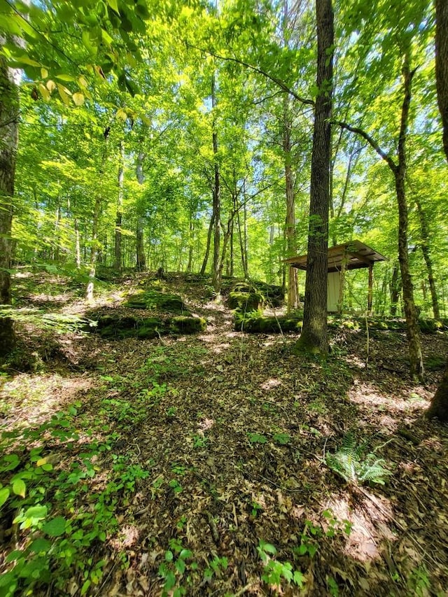 6704 Rockhouse Rd, Linden, TN 37096