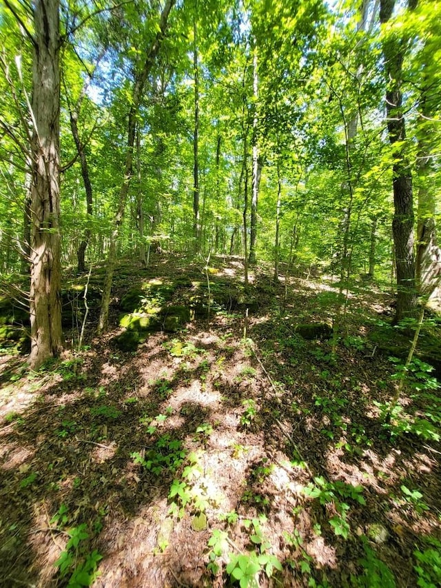 6704 Rockhouse Rd, Linden, TN 37096
