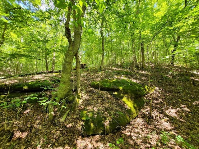 6704 Rockhouse Rd, Linden, TN 37096