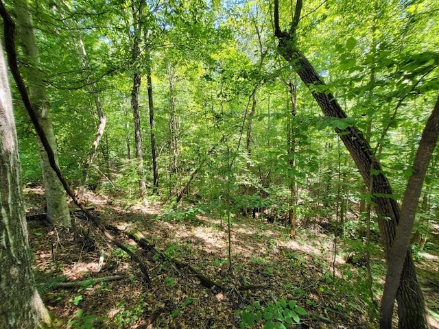 6704 Rockhouse Rd, Linden, TN 37096