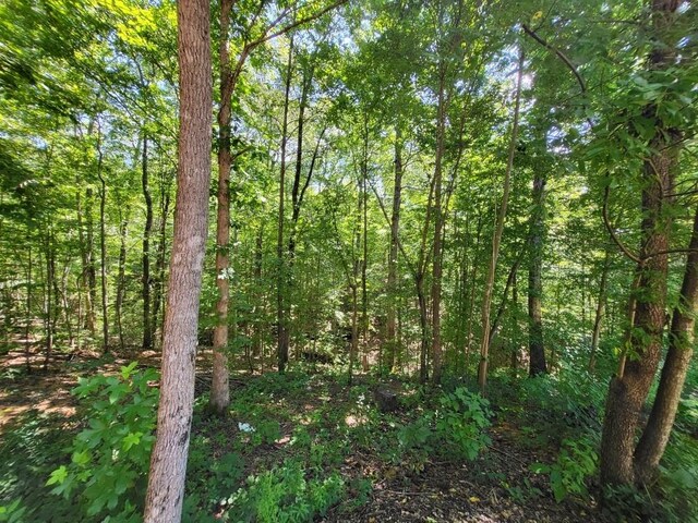 6704 Rockhouse Rd, Linden, TN 37096