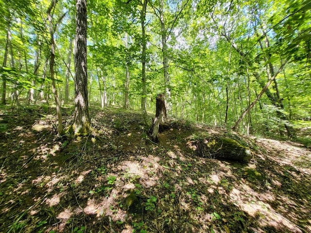 6704 Rockhouse Rd, Linden, TN 37096