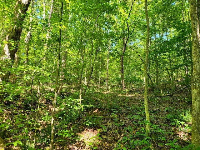 6704 Rockhouse Rd, Linden, TN 37096