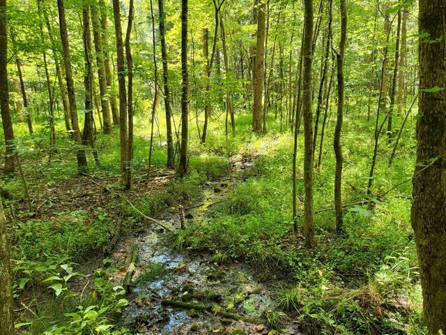 6704 Rockhouse Rd, Linden, TN 37096