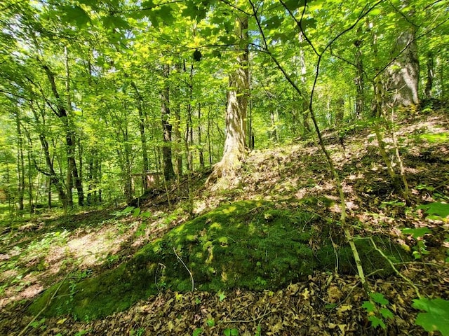 6704 Rockhouse Rd, Linden, TN 37096
