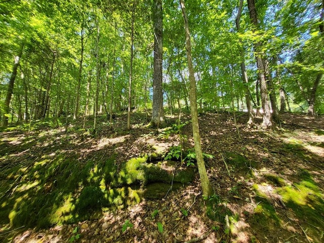 6704 Rockhouse Rd, Linden, TN 37096