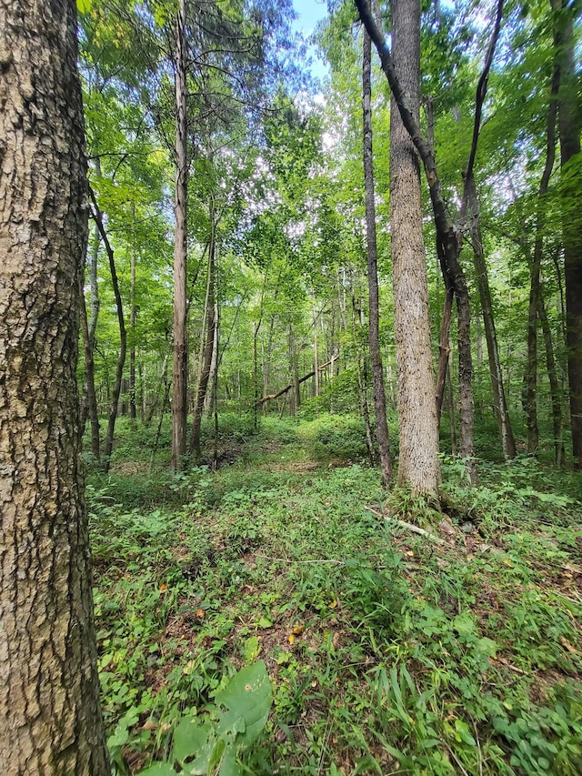 6704 Rockhouse Rd, Linden, TN 37096