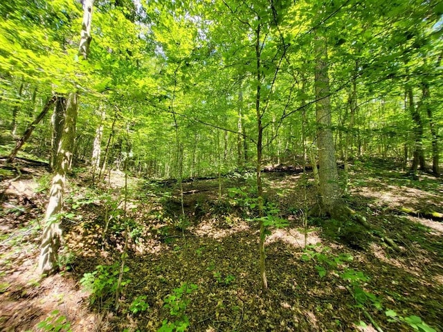 6704 Rockhouse Rd, Linden, TN 37096