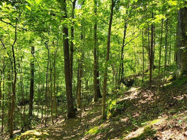6704 Rockhouse Rd, Linden, TN 37096