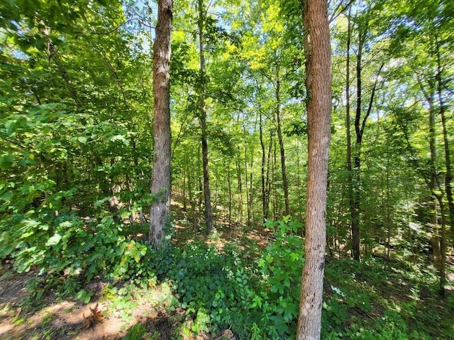 6704 Rockhouse Rd, Linden, TN 37096
