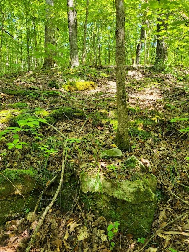 6704 Rockhouse Rd, Linden, TN 37096