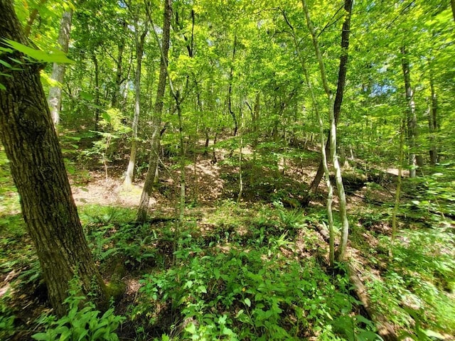 6704 Rockhouse Rd, Linden, TN 37096