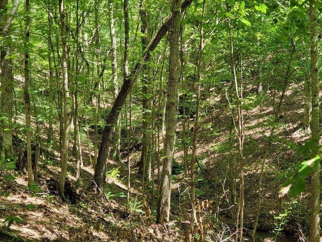 6704 Rockhouse Rd, Linden, TN 37096