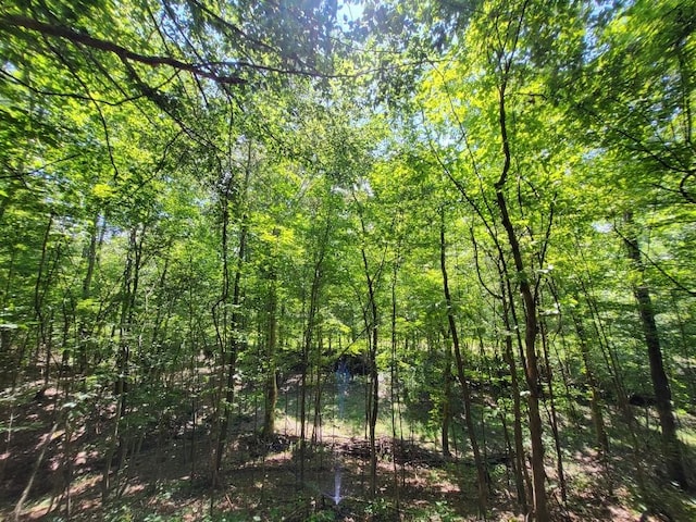 6704 Rockhouse Rd, Linden, TN 37096