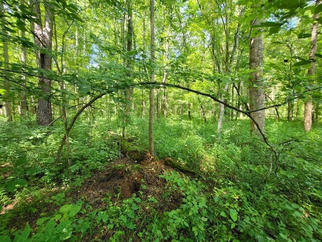 6704 Rockhouse Rd, Linden, TN 37096