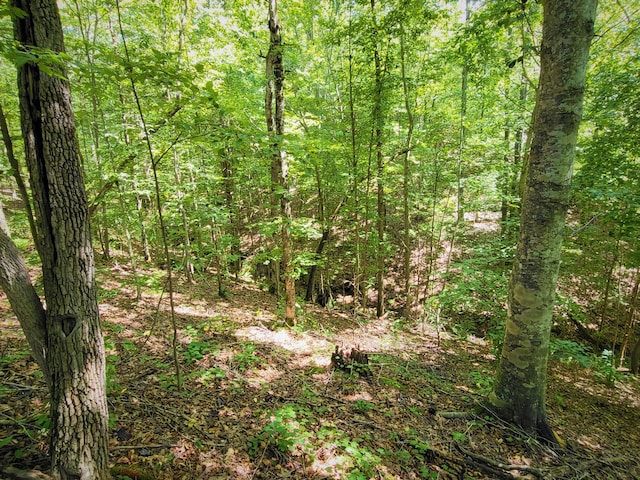 6704 Rockhouse Rd, Linden, TN 37096