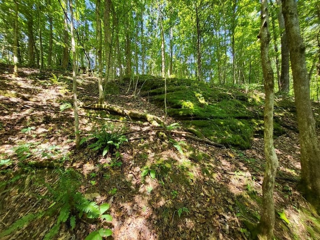 6704 Rockhouse Rd, Linden, TN 37096
