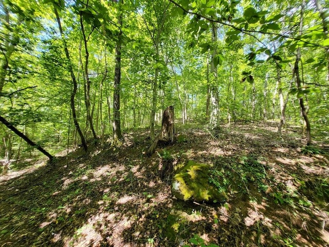 6704 Rockhouse Rd, Linden, TN 37096