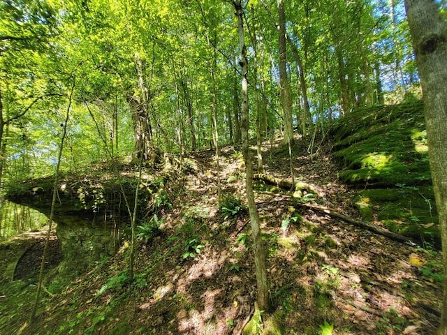 6704 Rockhouse Rd, Linden, TN 37096