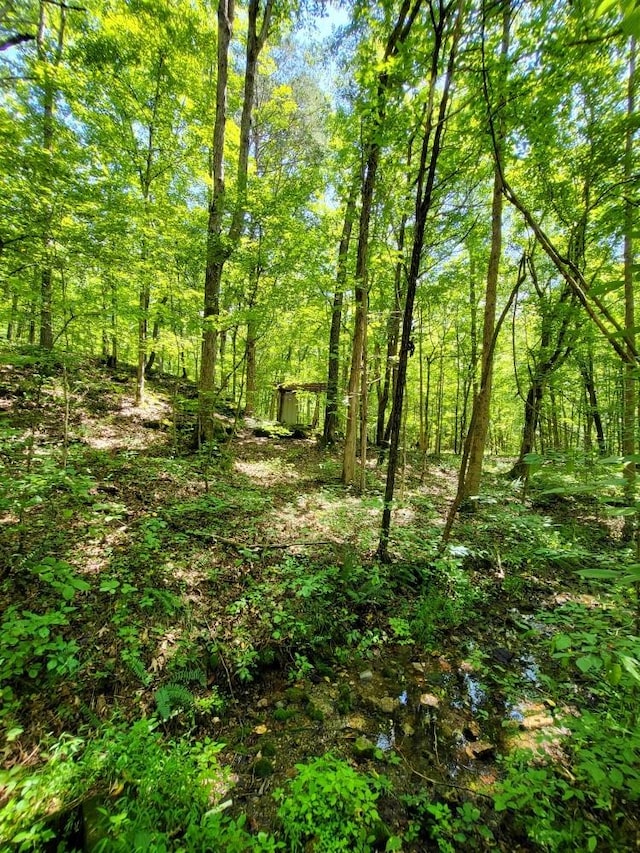 6704 Rockhouse Rd, Linden, TN 37096
