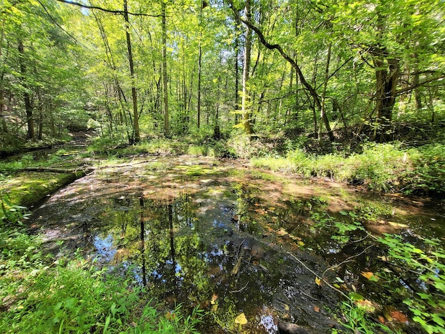 6704 Rockhouse Rd, Linden, TN 37096