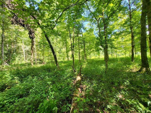 6704 Rockhouse Rd, Linden, TN 37096