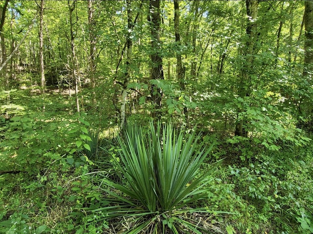 6704 Rockhouse Rd, Linden, TN 37096