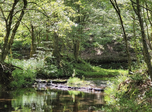 6704 Rockhouse Rd, Linden, TN 37096